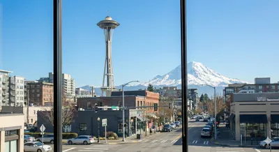 Washington Pet Grooming License Requirements (2025)