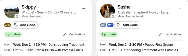 Two pet cards: photos, pet codes for anxious and senior, vaccines up to date, next and last visit